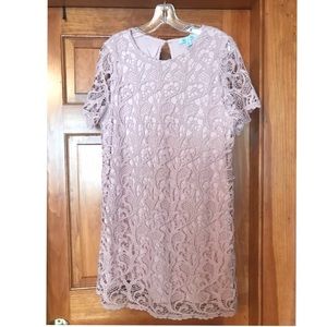 She & Sky Lace Shift dress